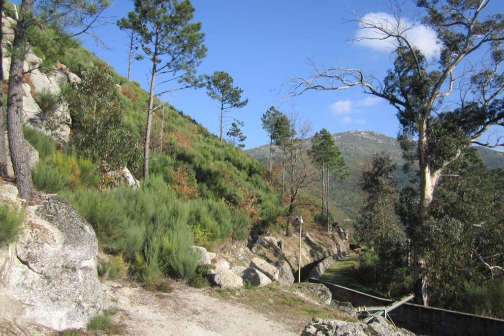 Casa Oeste Sabugueiro  Kültér fotó